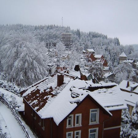 Hotel-Pension Waldhaus Bad Grund Extérieur photo